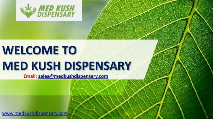 welcome to med kush dispensary