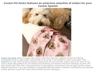 Quality Custom Pet Socks