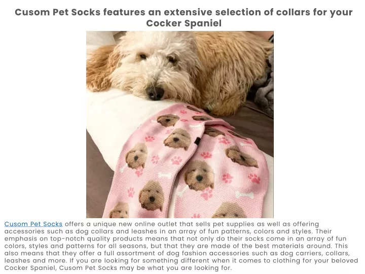 cusom pet socks features an extensive selection