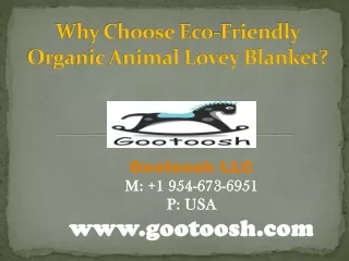 Why Choose Eco-Friendly Organic Animal Lovey Blanket?