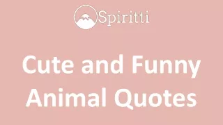 Cute and Funny Animal Quotes
