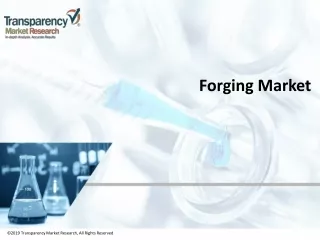 2019 transparency market research all rights