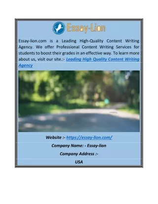 Leading High Quality Content Writing Agency | Essay-lion.com