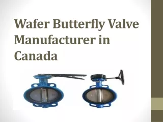 Wafer Butterfly Valve Manufacturer in Canada