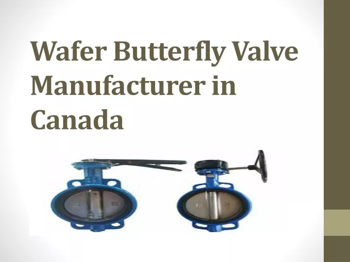 wafer butterfly valve manufacturer in canada