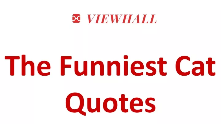 the funniest cat quotes