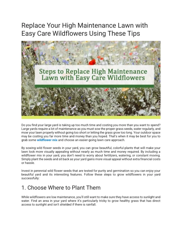 replace your high maintenance lawn with easy care