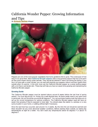 california wonder pepper growing information