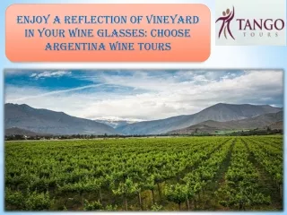 Enjoy a Reflection of Vineyard in your wine glasses Choose Argentina Wine Tours
