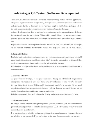 advantages of custom software development