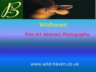 Fine Art Abstract Photography