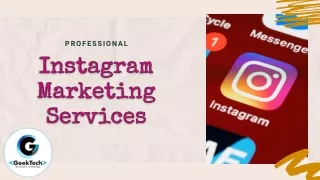 Professional Instagram Marketing Services