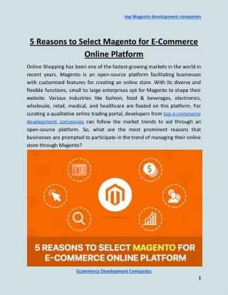 top magento development companies
