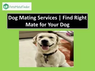 Dog Mating Services | USA | India | PetMateFinder