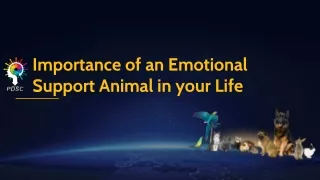 Importance of an Emotional Support Animal in your Life (1)