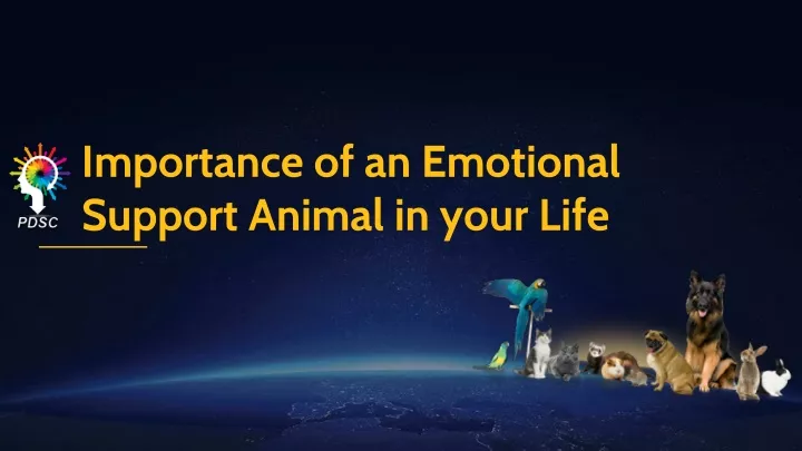 importance of an emotional support animal in your life