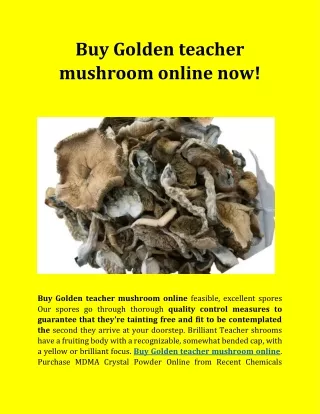 Buy Golden teacher mushroom online