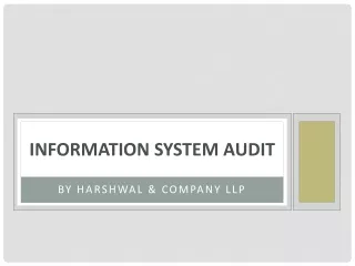 information system audit