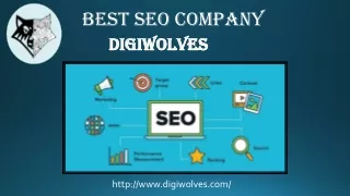Best SEO Company | Grow Your Business | Digiwolves
