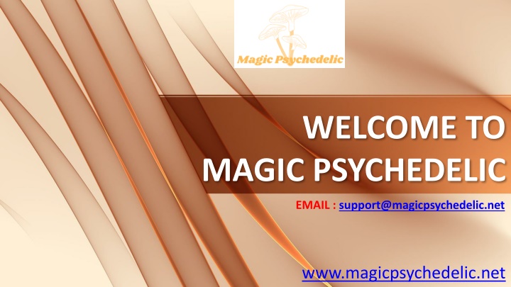 welcome to magic psychedelic