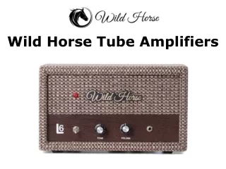 Wild Horse Tube Amplifiers