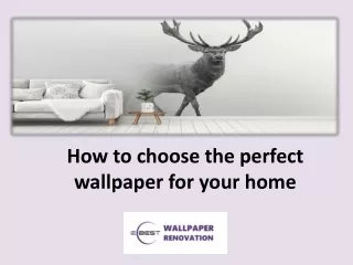 Choose Expert for Selecting the Perfect Wallpaper in Singapore