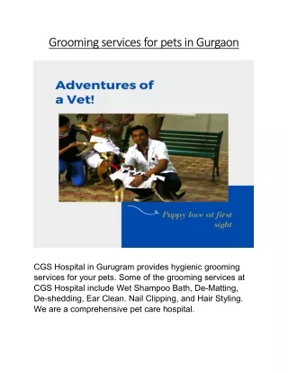 grooming services for pets in gurgaon grooming
