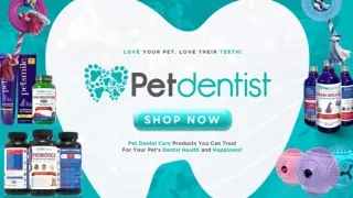 Find the Best Dog Dental Chews Online