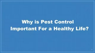 Why is Pest Control Important For a Healthy Life?