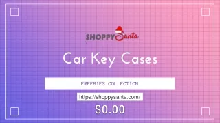 Car Key Cases Online at ShoppySanta