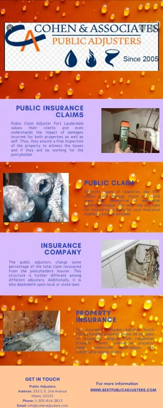 Local Insurance Adjuster
