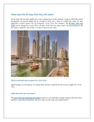 What does the 90 Days Visit Visa UAE state