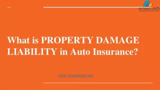 What is PROPERTY DAMAGE LIABILITY in Auto Insurance_