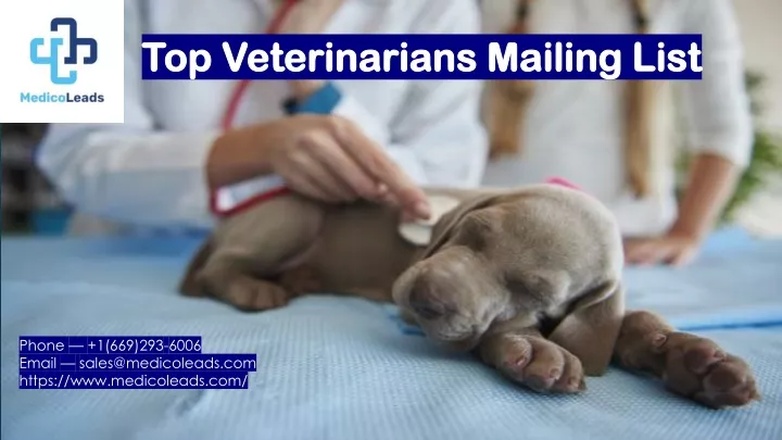 top veterinarians mailing list