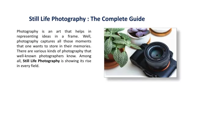 still life photography the complete guide