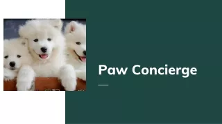 Fur pets flight nanny service