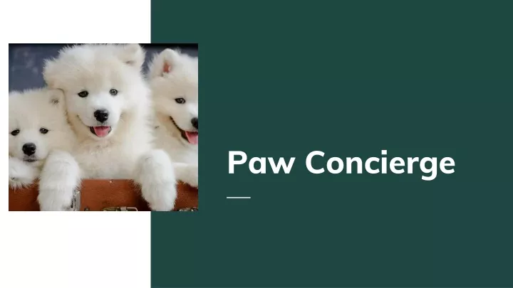 paw concierge