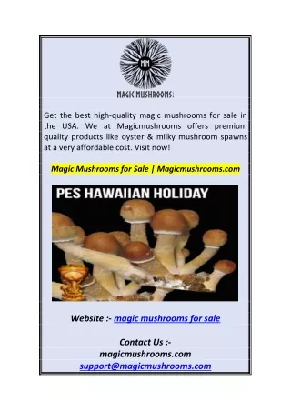 get the best high quality magic mushrooms
