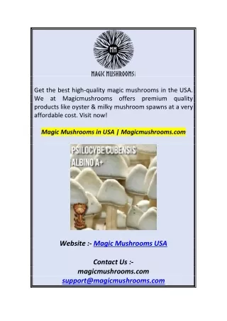 get the best high quality magic mushrooms
