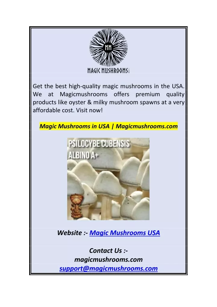 get the best high quality magic mushrooms
