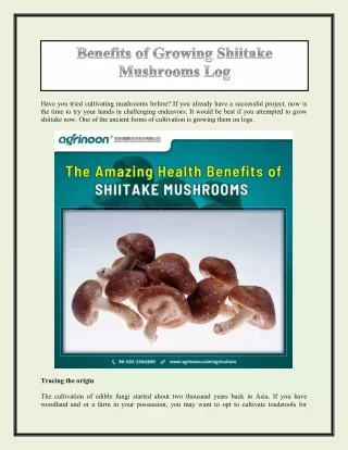 benefits of growing shiitake mushrooms log