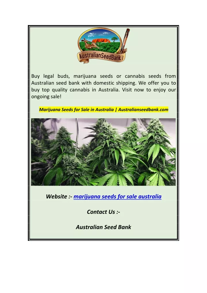 PPT - Marijuana Seeds For Sale In Australia Australianseedbank.com ...