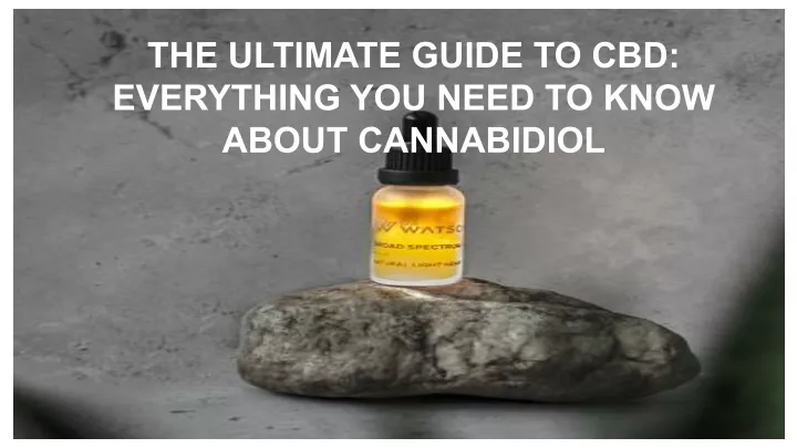 the ultimate guide to cbd everything you need