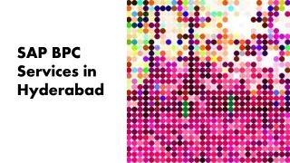 sap bpc services in hyderabad
