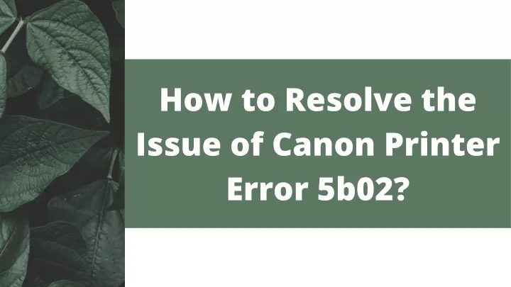 how to resolve the issue of canon printer error