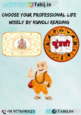 Choose Your Professional Life Wisely by Kundli reading