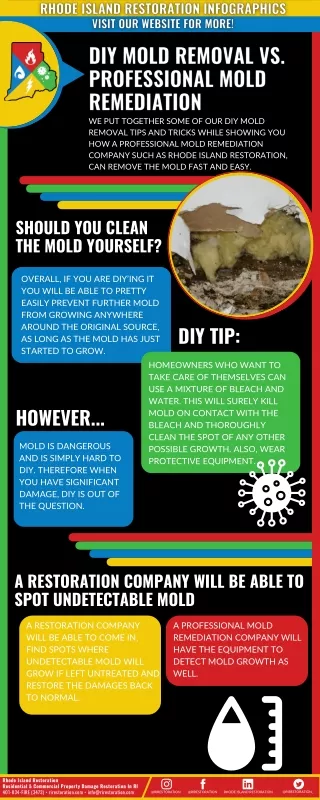 DIY Mold Removal vs. Professional Mold Remediation