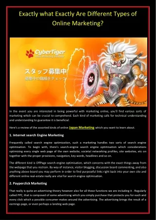CyberTiger Mobile Marketing Gateway