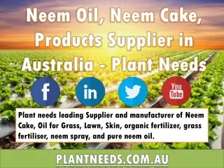 Neem Oil, Neem Cake, Products Supplier in Australia - Plant Needs