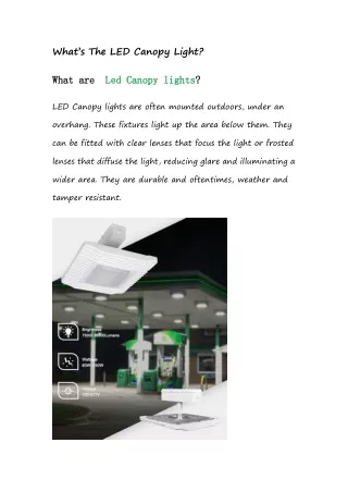1.What’s The LED Canopy Light